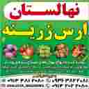 نهالستان ارس زرینه