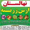 نهالستان ارس زرینه، فروش نهال گردو زردآلو هلو سیب در میاندوآب