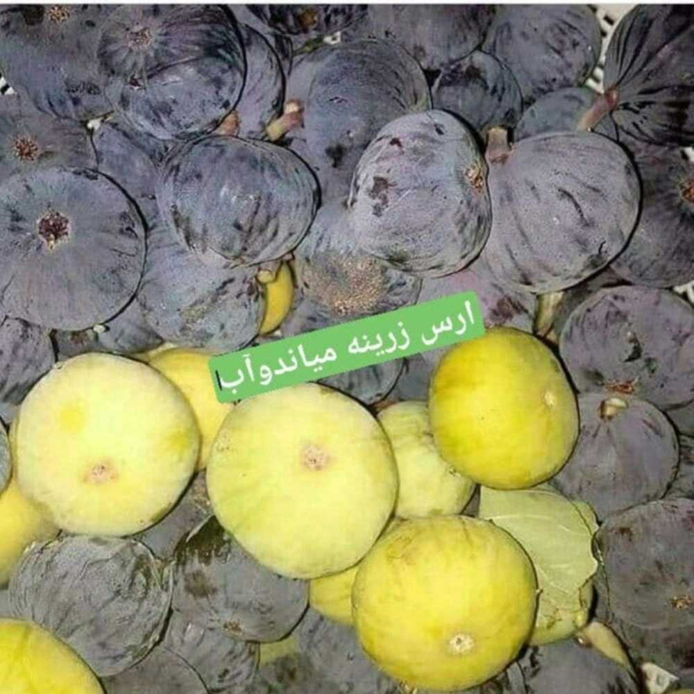 1731220916677.webp