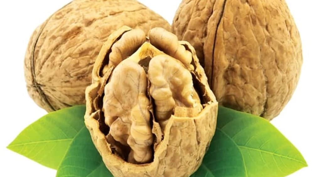 نهالستان ارس زرینه در میاندوآب