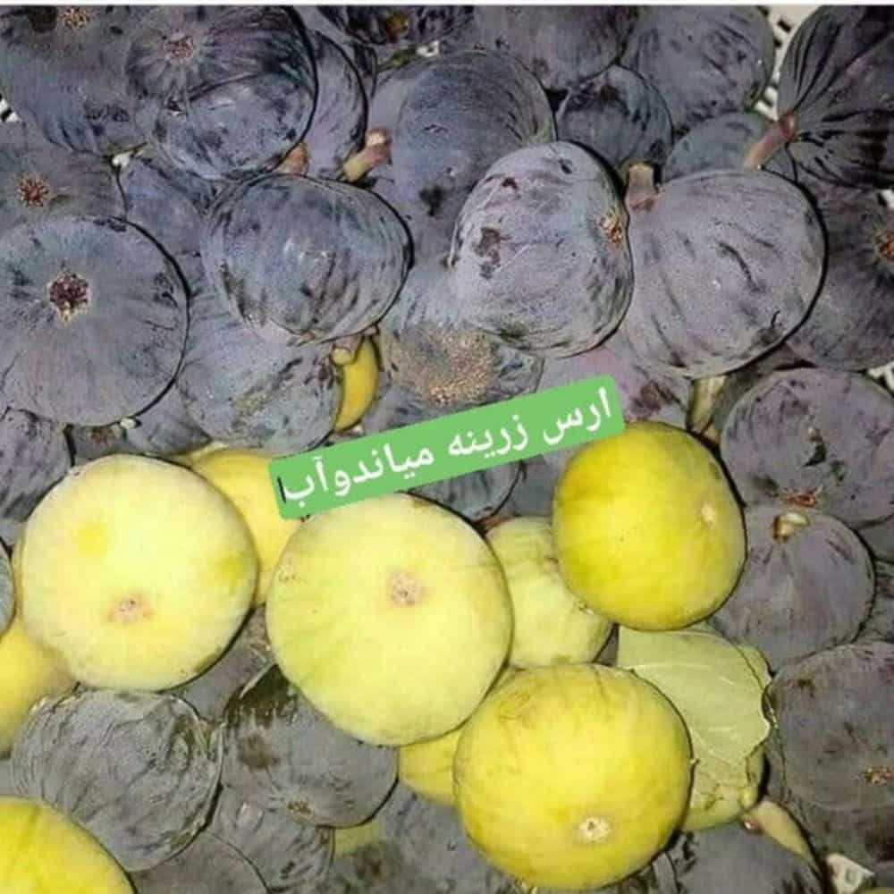 1731220916677.webp
